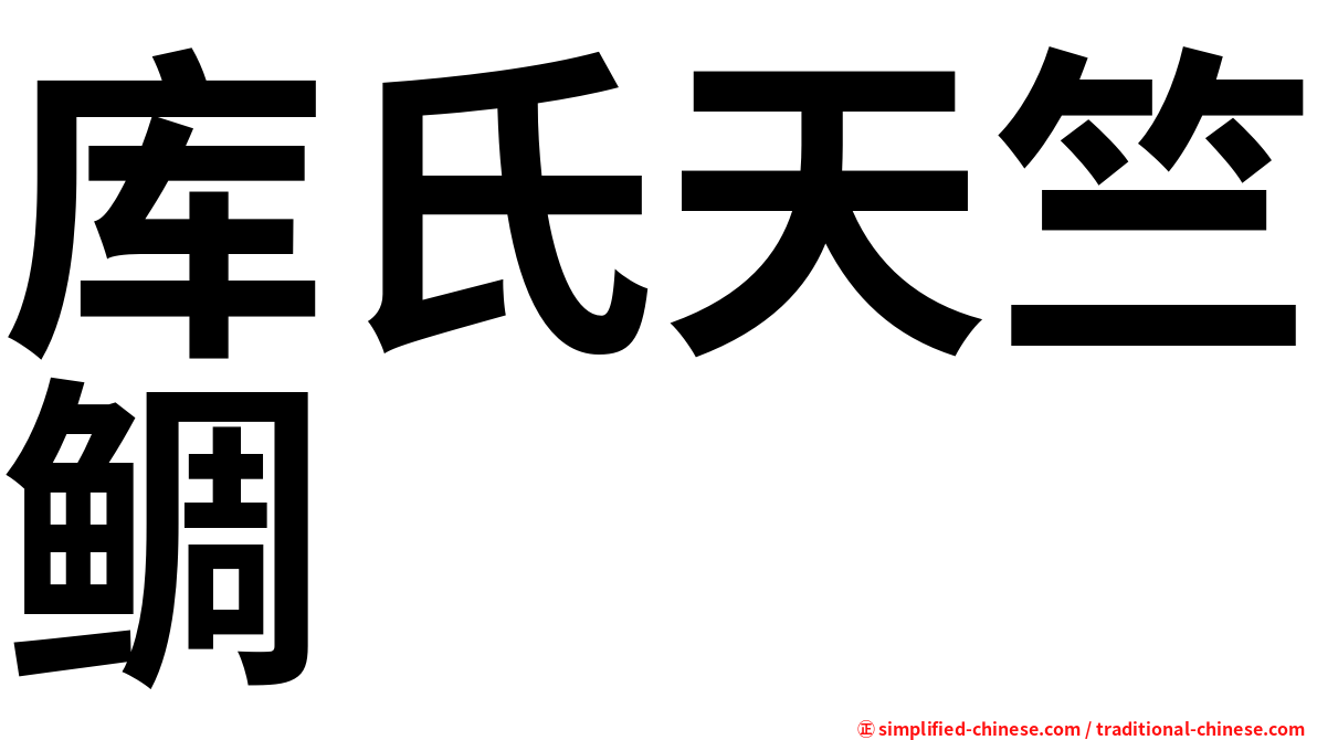 库氏天竺鲷