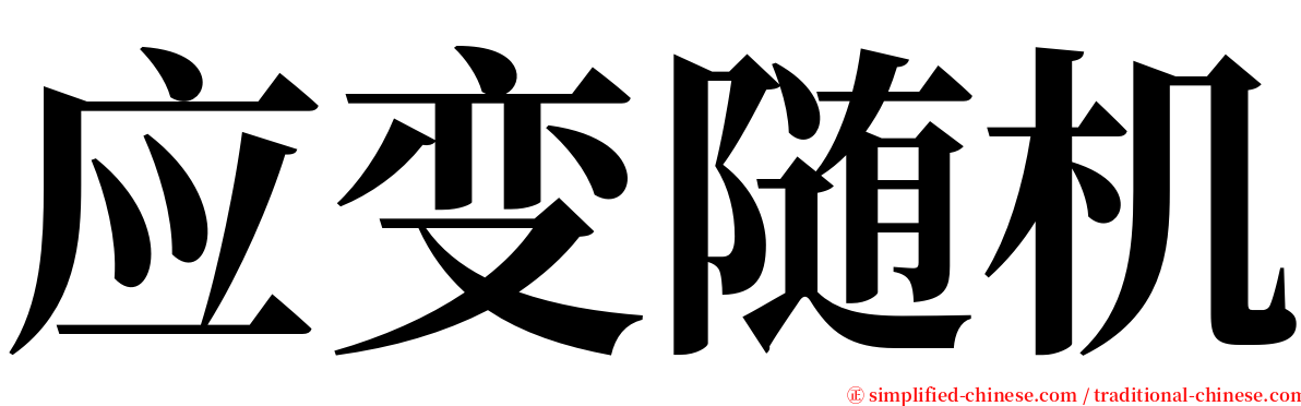 应变随机 serif font