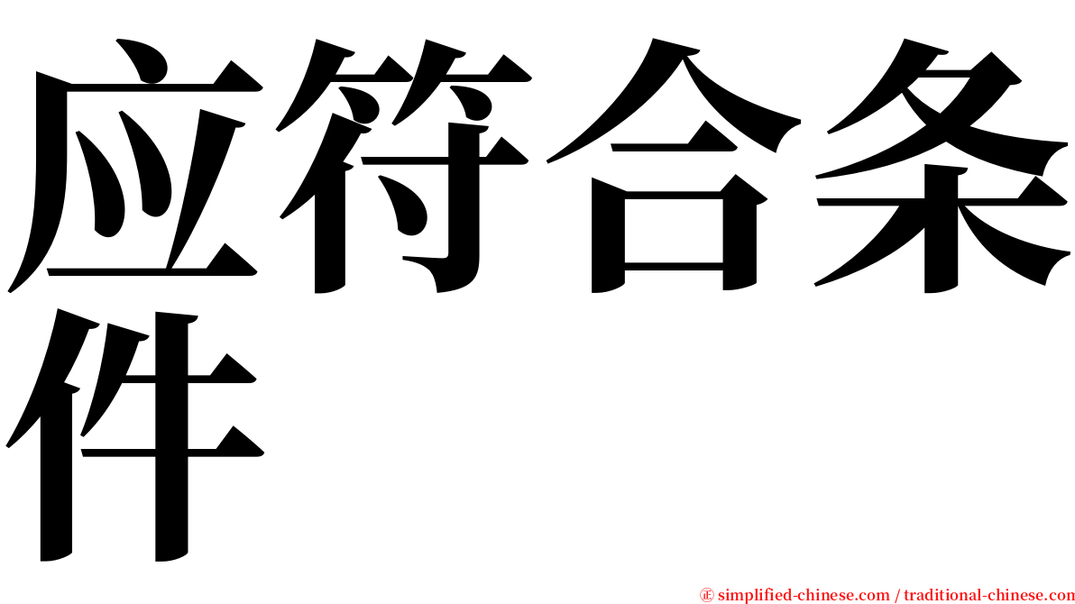 应符合条件 serif font