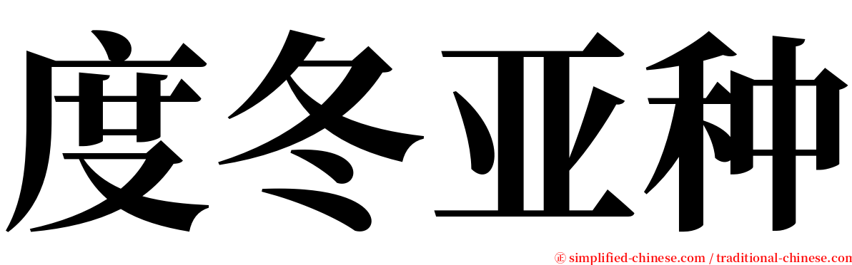 度冬亚种 serif font
