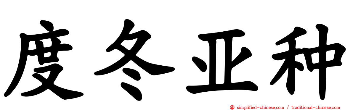 度冬亚种