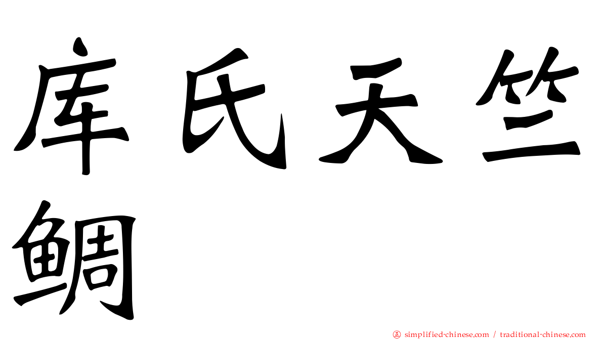 库氏天竺鲷
