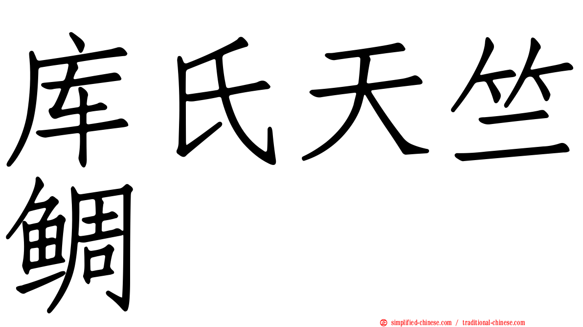 库氏天竺鲷