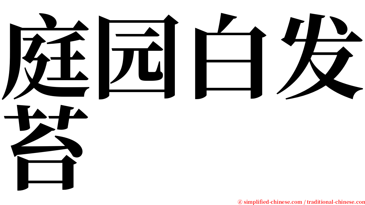 庭园白发苔 serif font