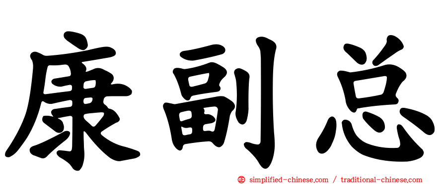 康副总