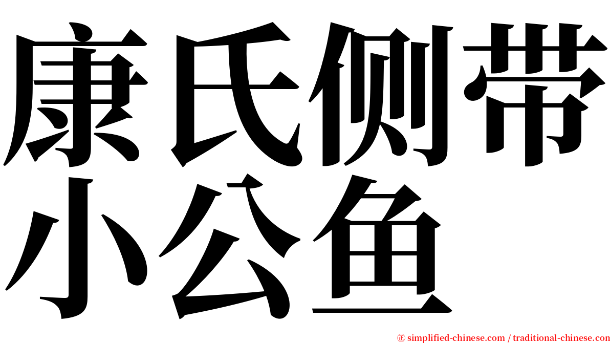 康氏侧带小公鱼 serif font