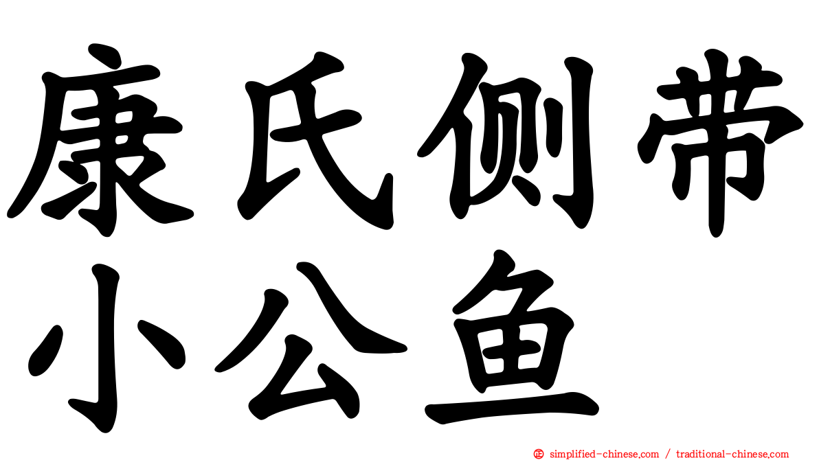 康氏侧带小公鱼