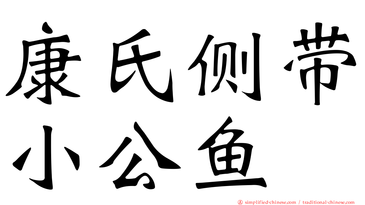 康氏侧带小公鱼