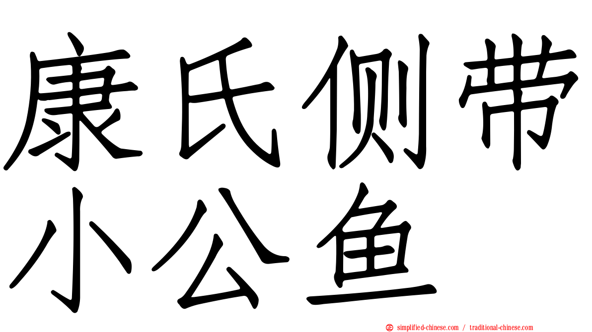 康氏侧带小公鱼