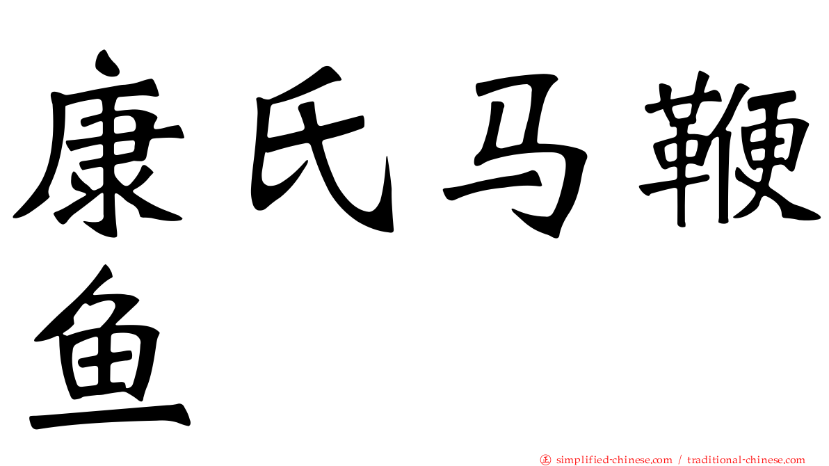 康氏马鞭鱼