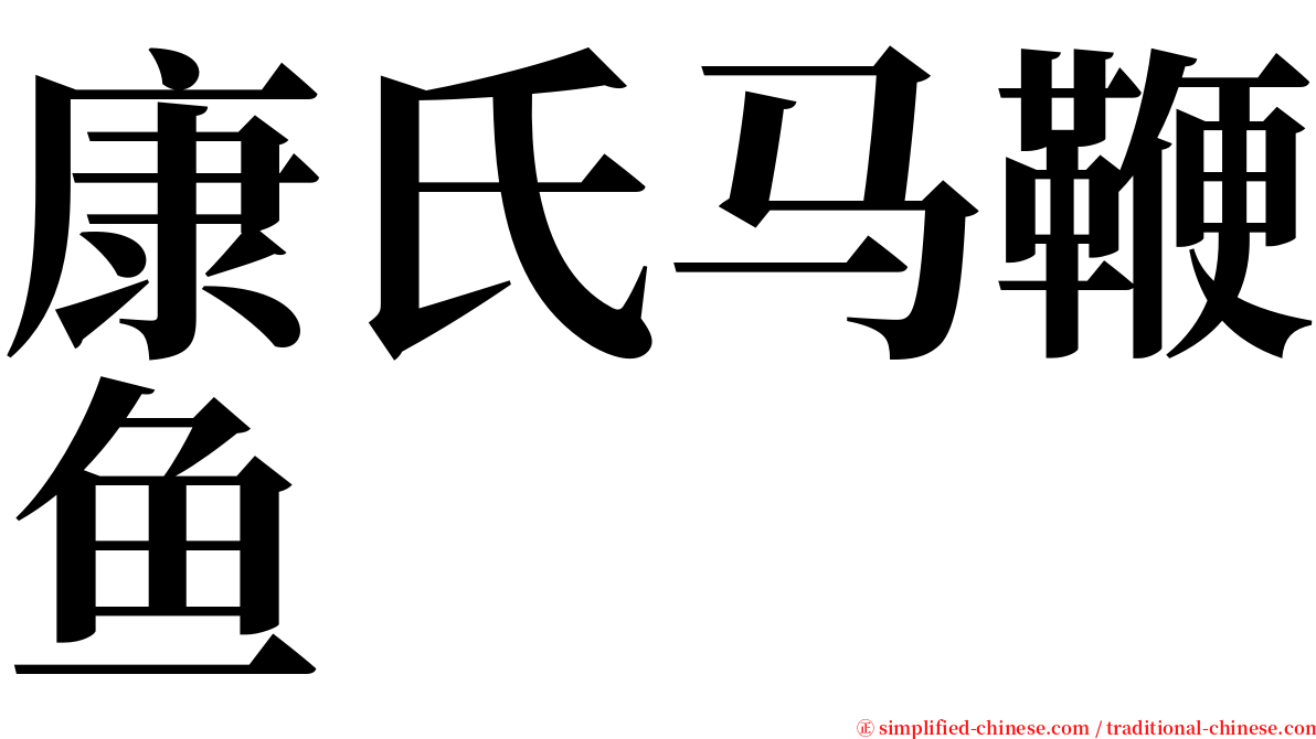 康氏马鞭鱼 serif font