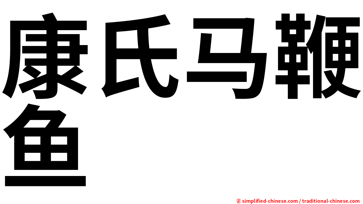 康氏马鞭鱼