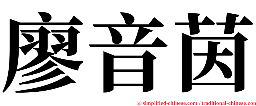 廖音茵 serif font