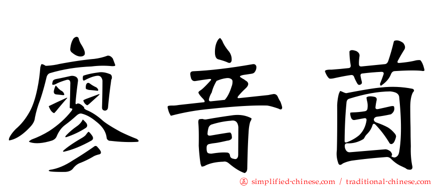 廖音茵