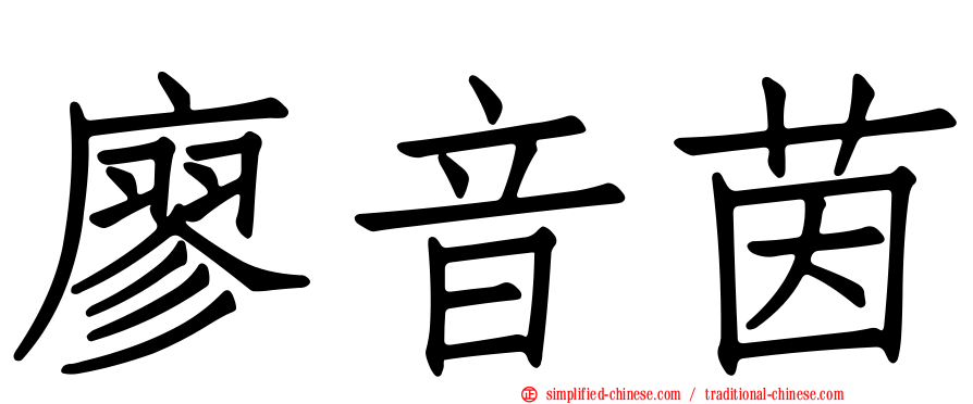 廖音茵