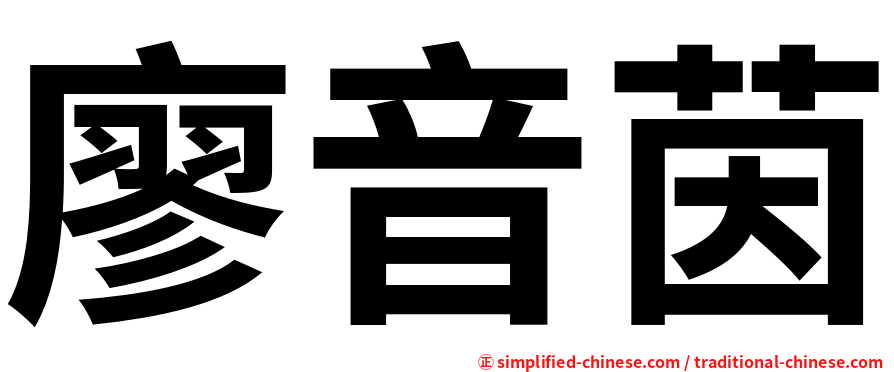 廖音茵