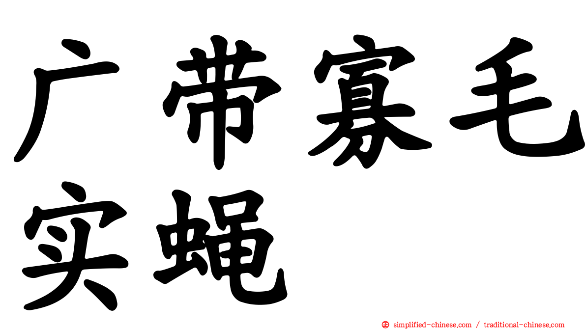 广带寡毛实蝇
