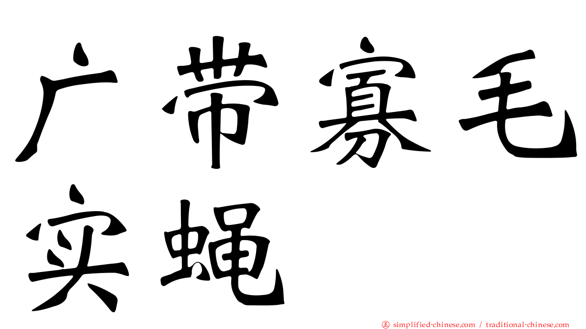 广带寡毛实蝇