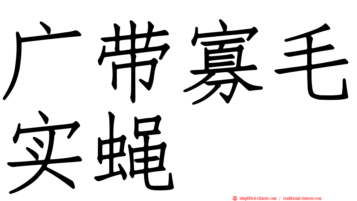 广带寡毛实蝇