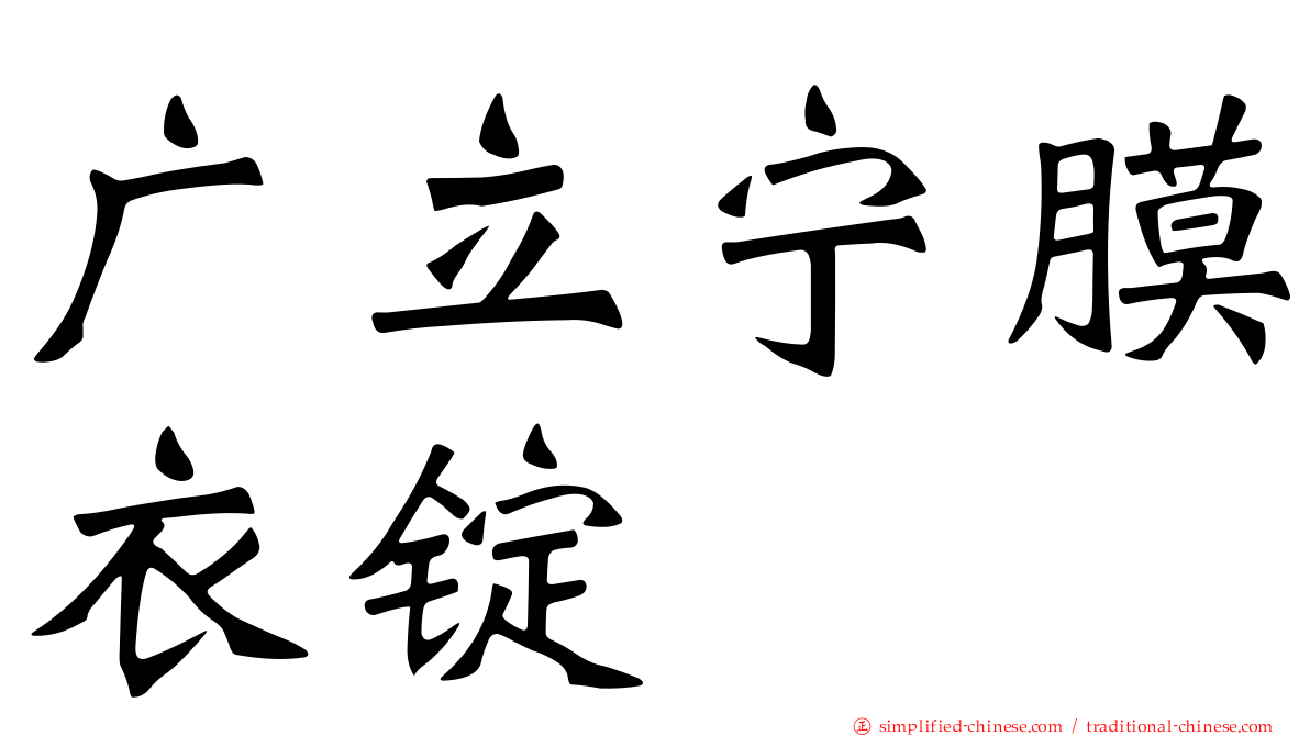 广立宁膜衣锭