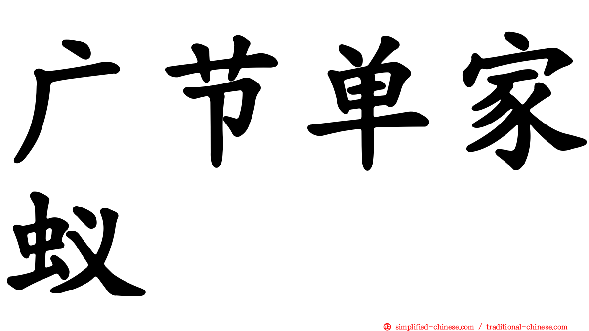 广节单家蚁