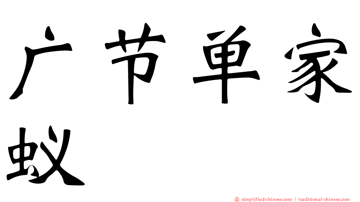 广节单家蚁