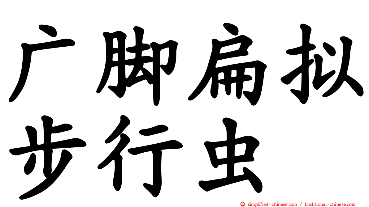 广脚扁拟步行虫