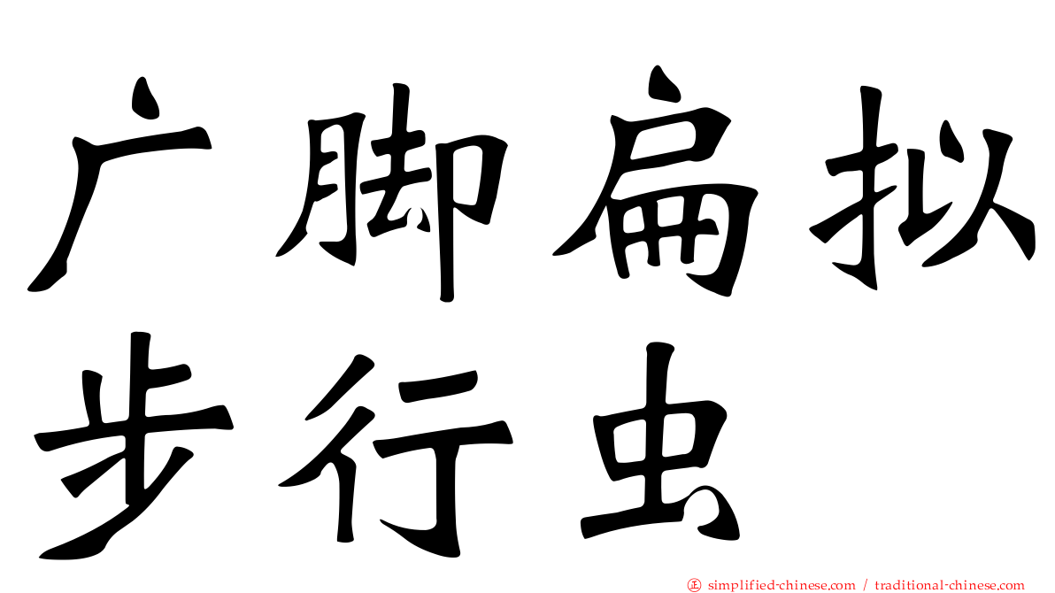 广脚扁拟步行虫