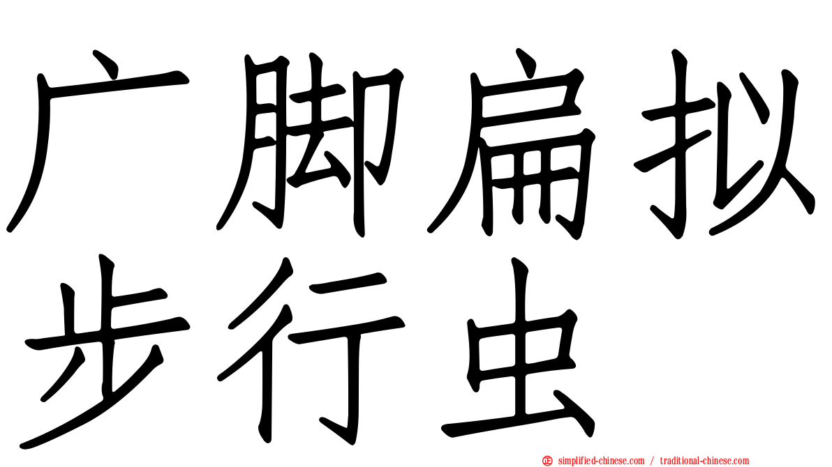 广脚扁拟步行虫