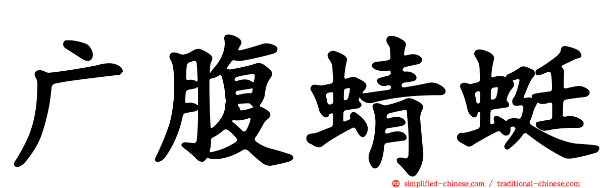 广腹蜻蜓