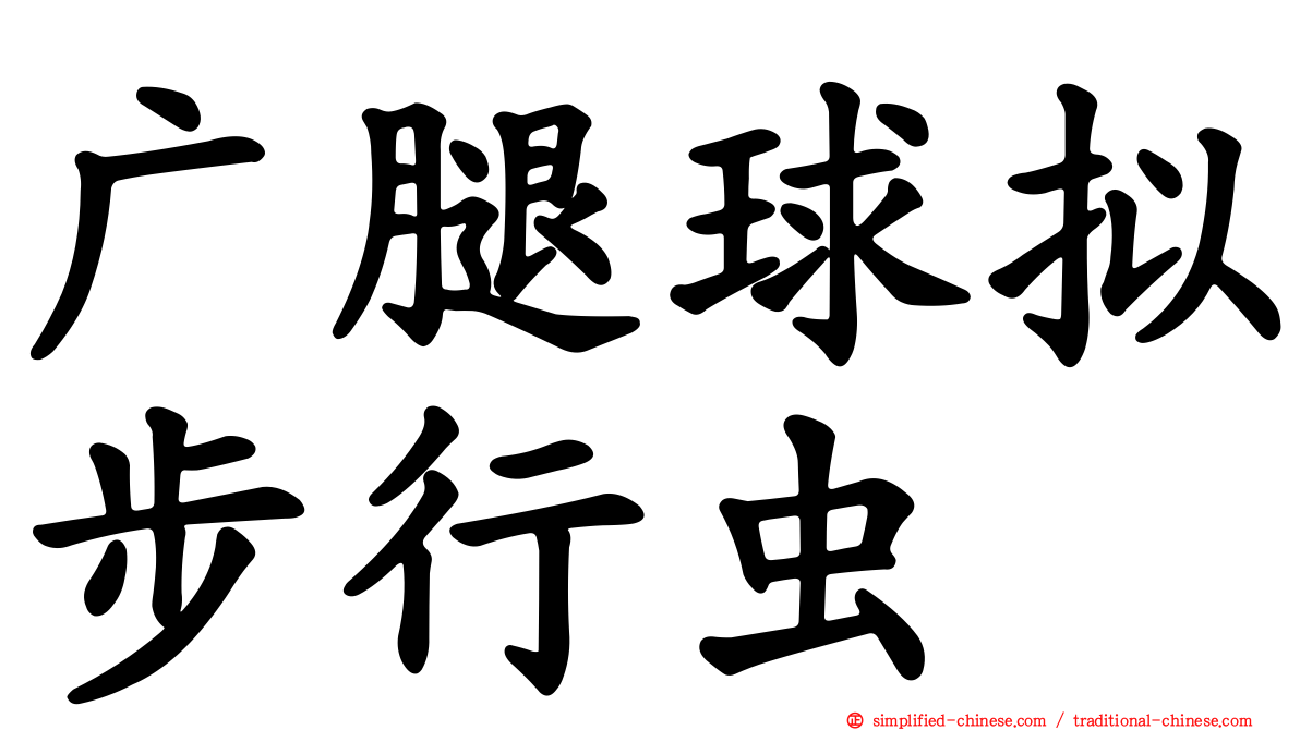 广腿球拟步行虫