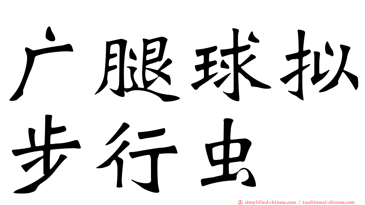广腿球拟步行虫
