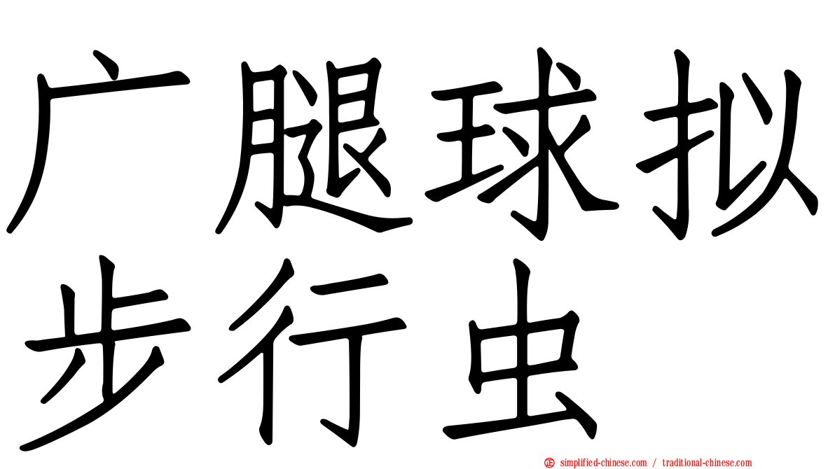 广腿球拟步行虫