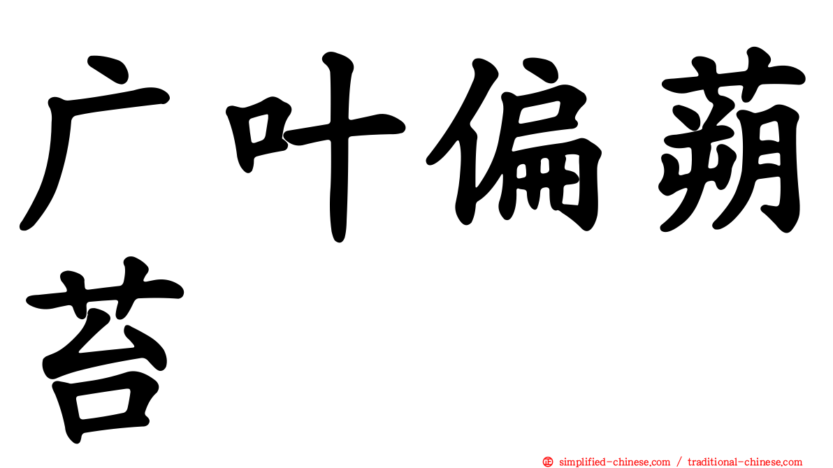 广叶偏蒴苔