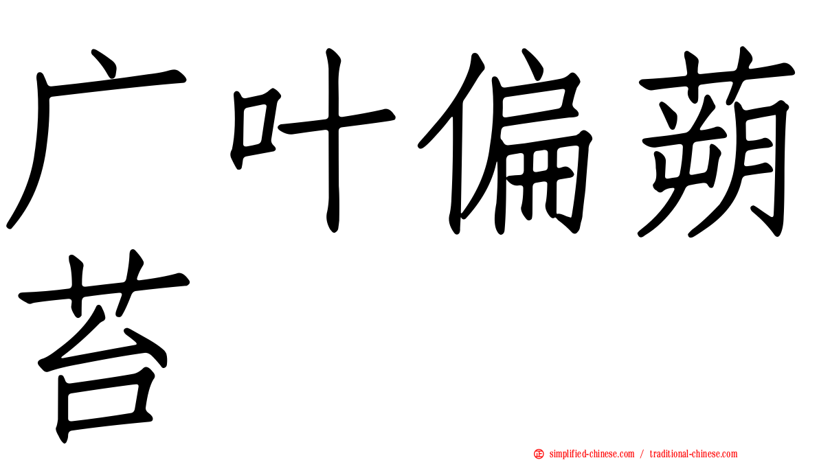 广叶偏蒴苔