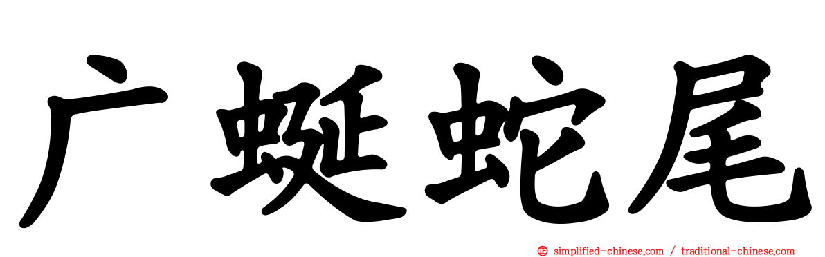 广蜒蛇尾