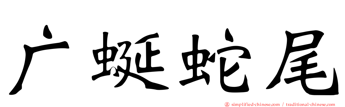 广蜒蛇尾