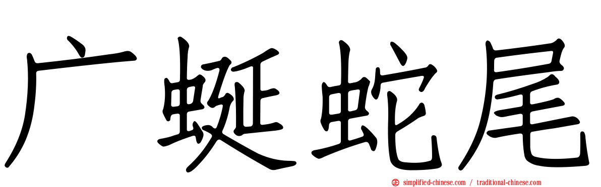 广蜒蛇尾