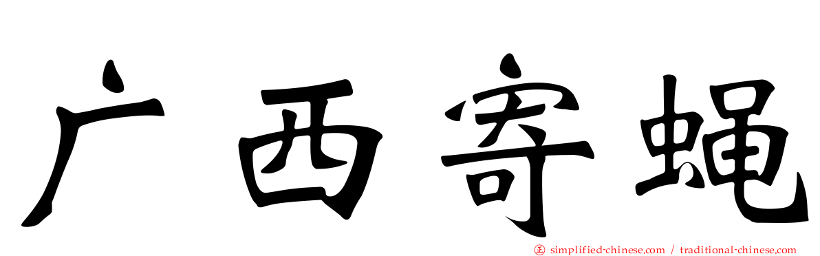 广西寄蝇
