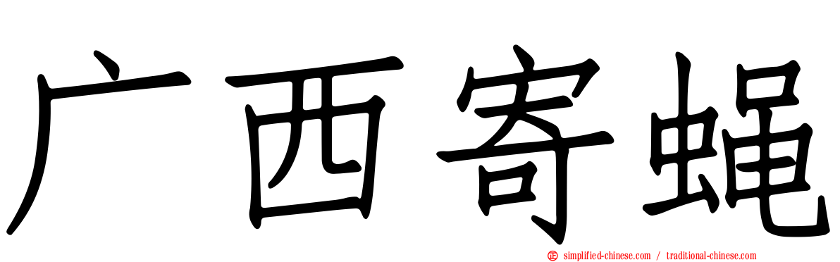 广西寄蝇