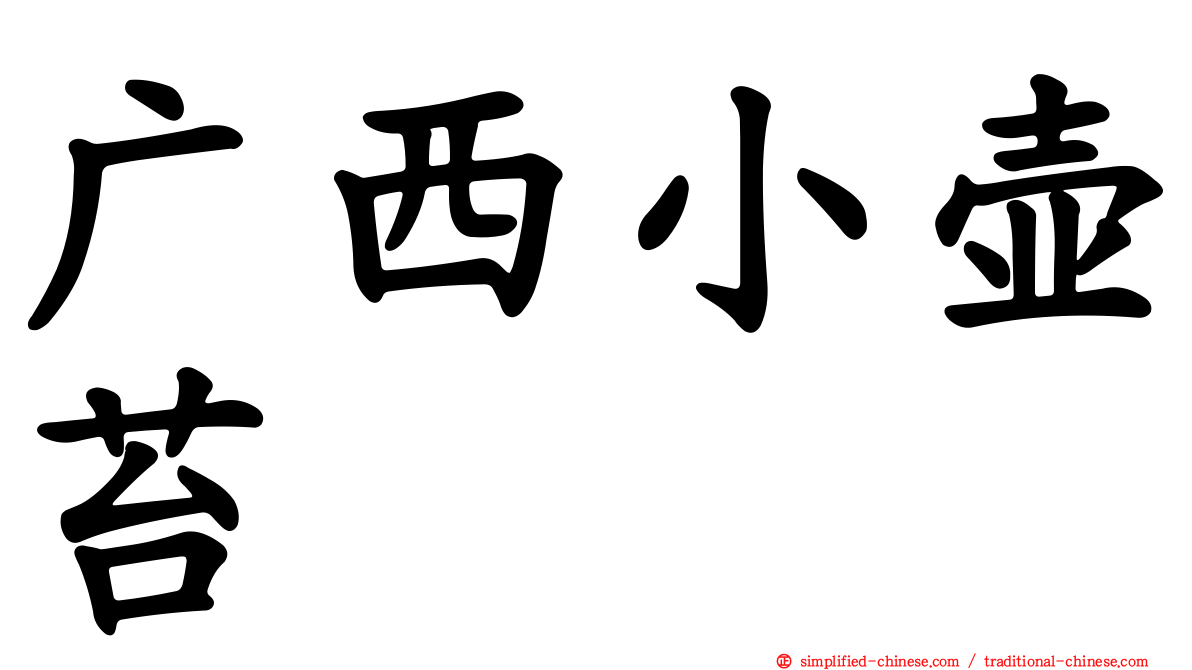 广西小壶苔