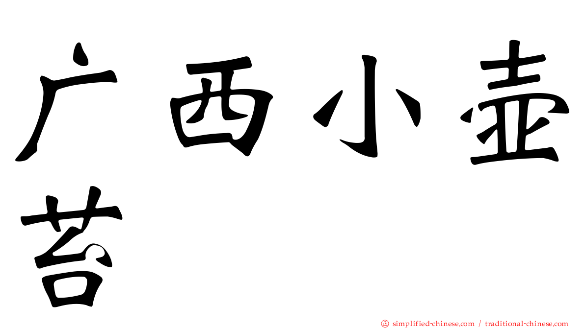广西小壶苔