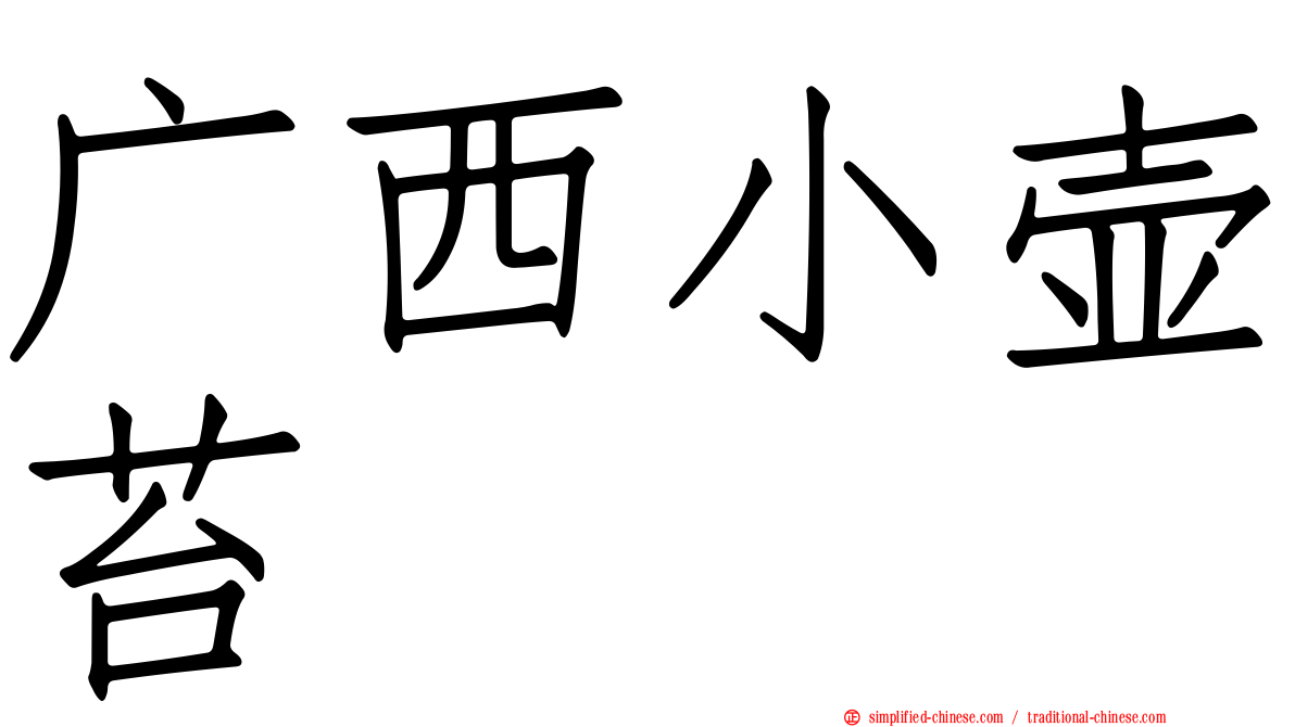 广西小壶苔