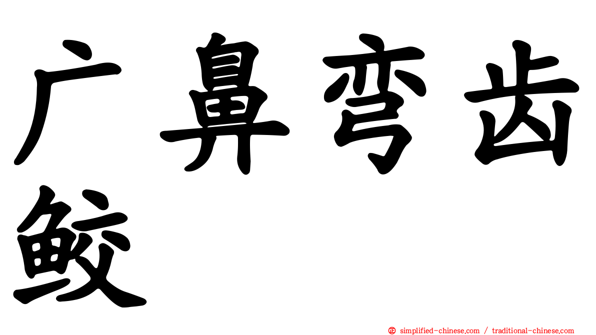广鼻弯齿鲛