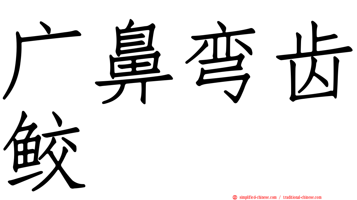 广鼻弯齿鲛