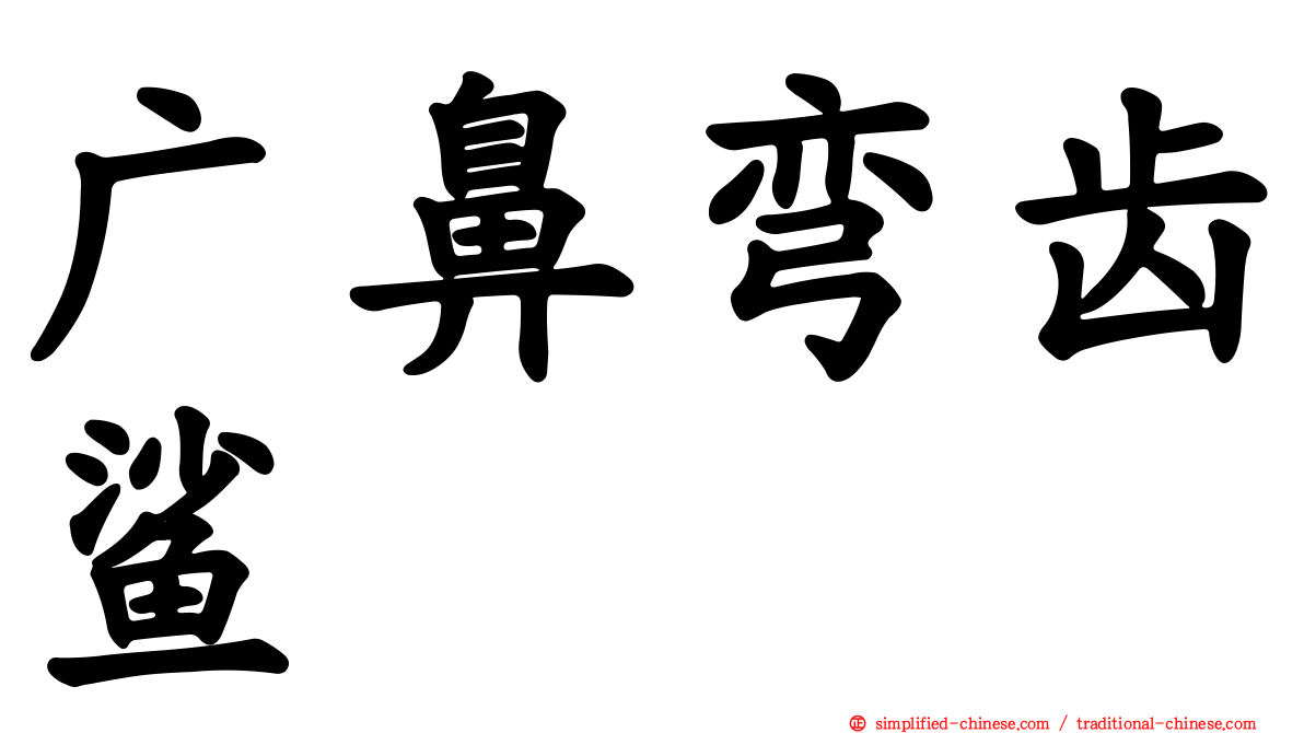 广鼻弯齿鲨