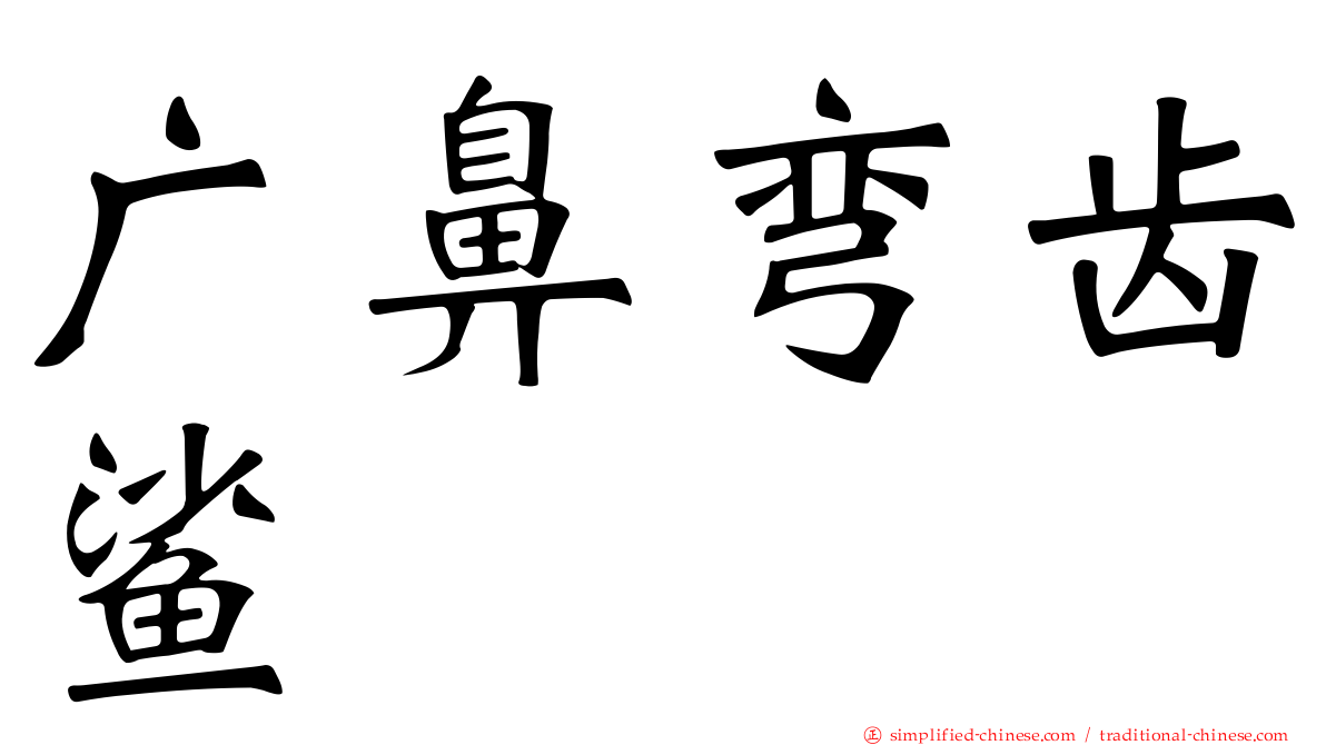 广鼻弯齿鲨