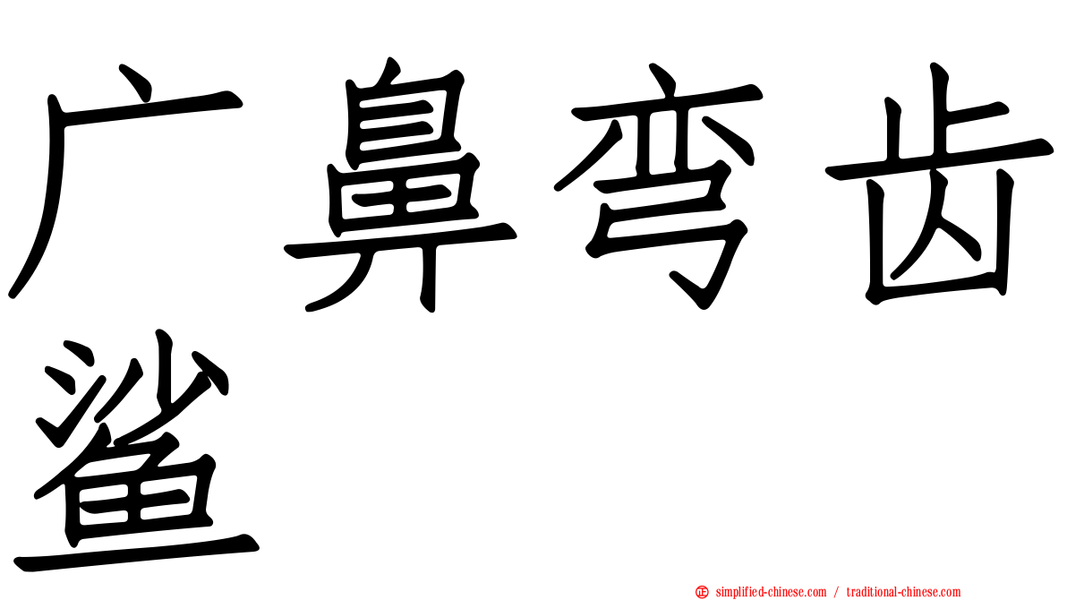 广鼻弯齿鲨