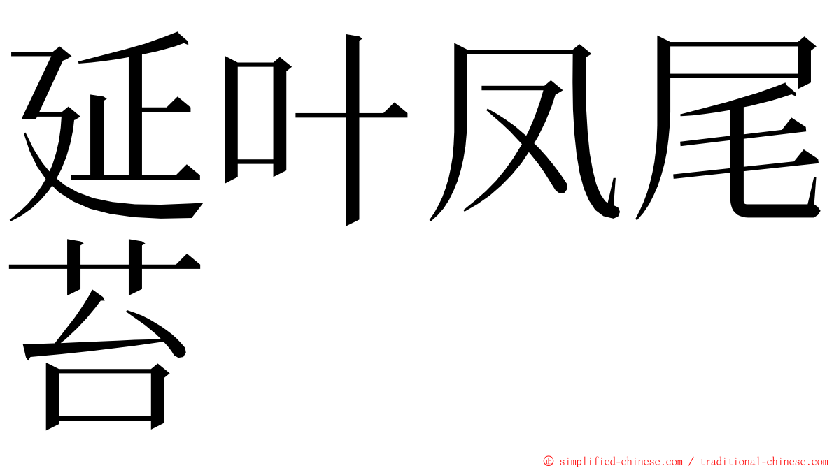 延叶凤尾苔 ming font