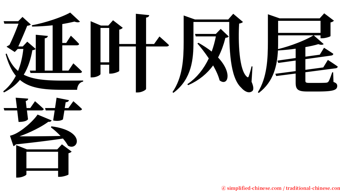 延叶凤尾苔 serif font
